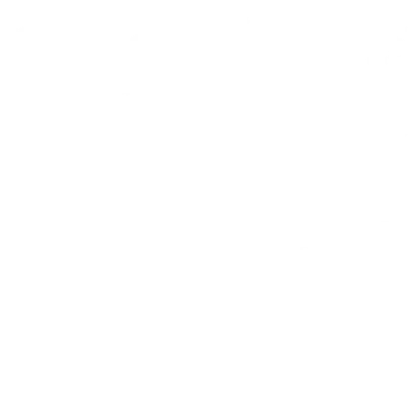 NDude Labs