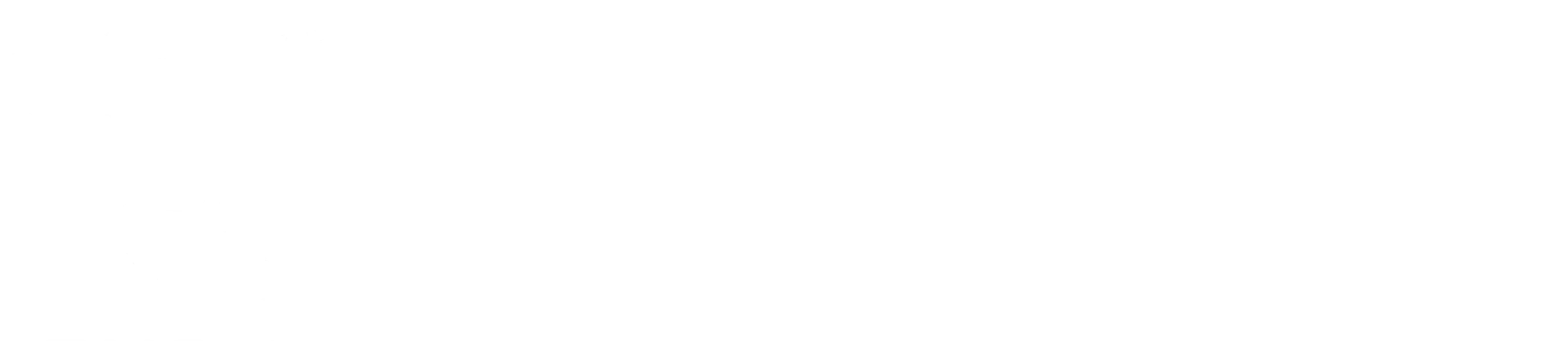 NDude Labs × Nutriventia
